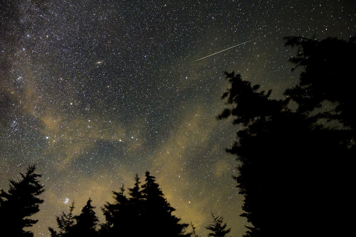 A dense starfield of the summer Milky Way